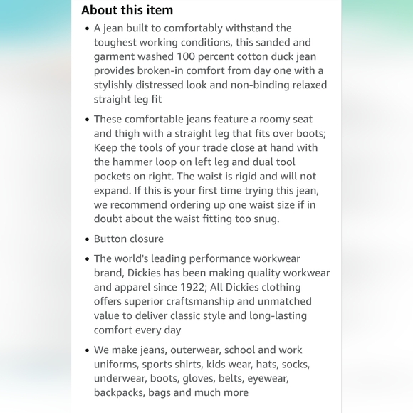 Dickies Carpenter Jeans - Picture 9 of 14